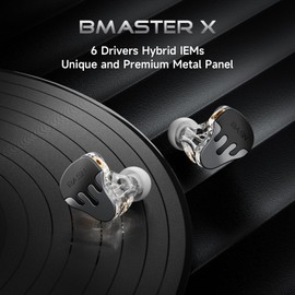 BASN BmasterX 6 Drivers Hybrid in-Ear Monitors with Noise Isolation for Musicians, Stage & Studio, Professional HiFi IEMs, Detachable 4-core OFC Silver-Plated Cable & Shockproof Case (Black-Gray)