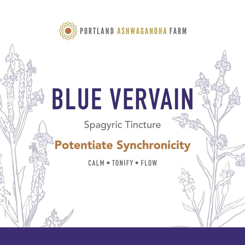 Portland Ashwagandha Farm Blue Vervain Fresh Spagyric Tincture, 2oz
