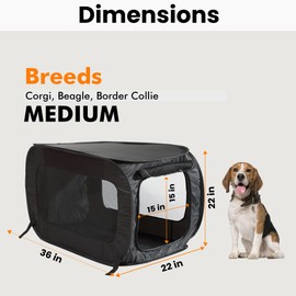 Beatrice Home Fashions Portable, Collapsible, Pop Up Kennel Travel Cat and Dog Crate, 36" L x 22" W x 22" H, Black
