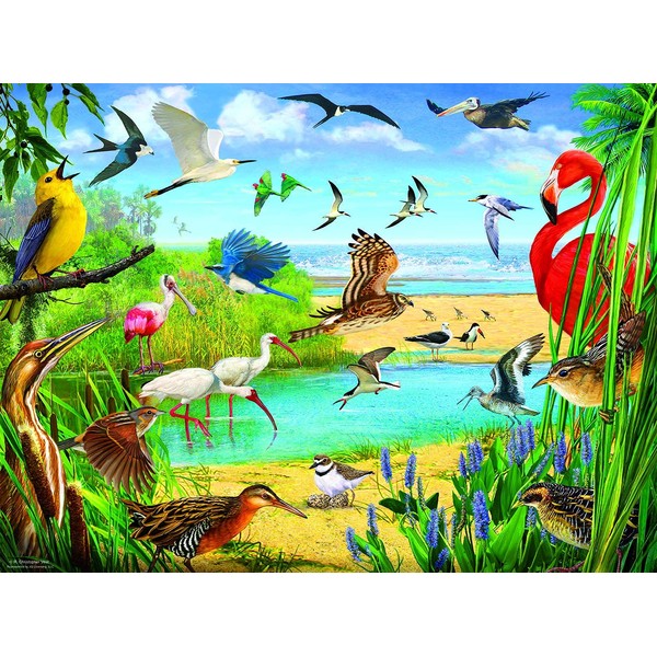 SUNSOUT INC - Florida Birds - 1000 pc Jigsaw Puzzle by Artist: R. Christopher Vest - Finished Size 20" x 27" - MPN# 70028