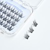 Char Cosmetics Sweet Whispies Lash 24pcs