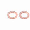 Banjo Bolt Bleed Screw, M10 x 1.0mm Motorcycle Brake Master
