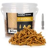 Bobibbi Deck Screws #8 x 1-1/2’’, T25 Star Torx Drive