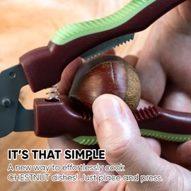 SEJONG COOK Chestnut Scissors SJ137