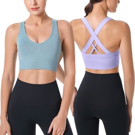 HANERDUN Women's Mittle Support Sports Bra Crossback Push Up Yoga Bra Seamless Without Underwire with Removable Padded for Fitness Running Jogging, 2 Pieces (Light Purple+Blue 1)