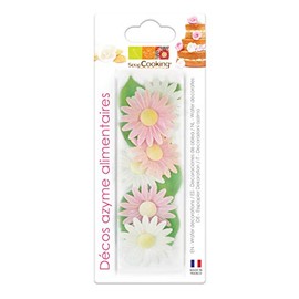 Scrapcooking 6 Margeriten+6 Grünen Blättern Matzo 26 G