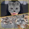 KIUGCO Furry Therian Mask and Fox Tail Gloves Set for