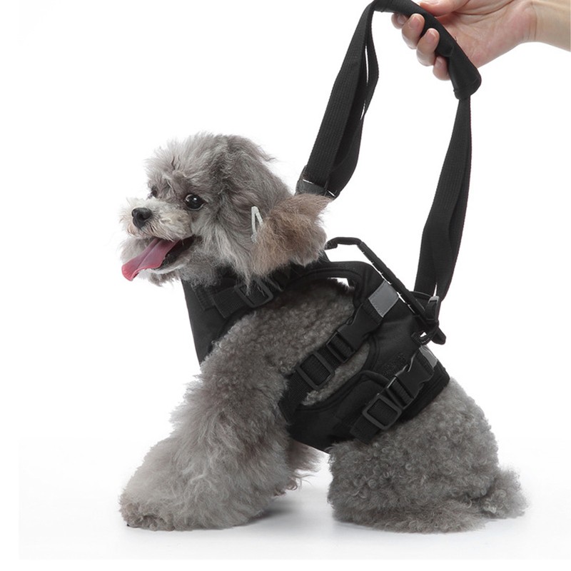 Cat Vest Harnesses Leash Adjustable Breathable Stylish Multifunctional Pet Walking