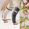 Nature Pet Tarsal- / Sprunggelenk Schutz Bandage 135° Winkel für