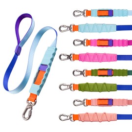 Shock Absorbing Dog Leash, Bungee Dog Leash with Swivel Lockable Hook & Padded Handle, No-Pull Lead for All Dog Sizes - Enhances Safety & Comfort for Outdoor Walks (Blue, Geo Leash)