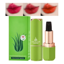Barra De Labios De Larga Duración Brillo Labial De Color Cam
