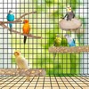 NLONLL 6 Pcs Bird Perches for Cage Parrot Perch Budgie