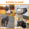 Mayerzon Pitbull Muzzle for Large Medium Sized Dogs to Prevent