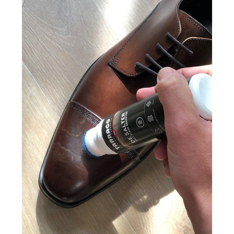 Tarrago DeSalter | Removes Water, Snow or Salt Stains |