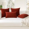 JOTOM Set of 2 Cushion Covers 30x50 cm Soft Chenille