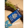 2pcs Hanging Blown Glass Passport Christmas Ornament for Christmas Tree