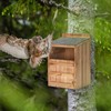 Owl House Premium Wooden Bird House Kit - Cedar Owl