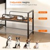 HOOBRO Raised Dog Bowl Stand with 2 Feeding Stations, Elevated