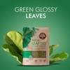 Fiddle Leaf Fig Tree Plant Food - Slow Release Fertilizer
