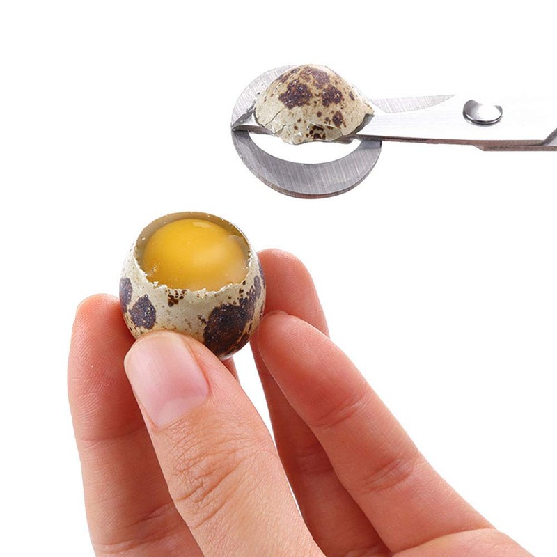 2 Pieces Quail Egg Scissors, Stainless Steel Quail Egg Scissors,