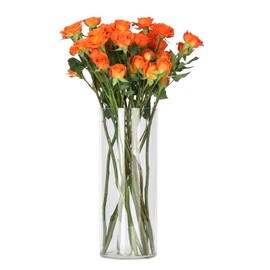 QEEYON Acrylic Cylinder Vase 30cm Tall Large Thickened Plastic Vase for Flowers Floral Arrangement for Centerpieces Living Room, Kitchen, Office, Wedding (30 x 12cm)