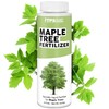 Maple Tree Fertilizer, Complete Liquid Maple Tree Plant Food, 8