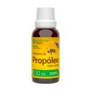 Extracto de Propóleo 30 ml N2000, Suplemento Alimenticio Líquido