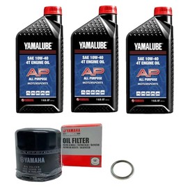 Generic Genuine OEM 10W40 Oil Change Service Kit Compatible with Yamaha Viking 700 Viking VI YXM 700 2014-2024, LUB10W40