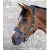 Waldhausen Elegant Halter, black