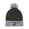 Puma 024810 WRMLBL RemovAble Pom Men's Golf Beanie, PUMA Black/Slate