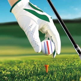Golf Ball Marker Line Drawing Tool 2 Color Pens Template Liner Putt Alignment, Putt Positioning Marker