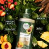 Herbal Essences BioRenew Pequi Aguacate, Kit Mascarilla Intensiva 300ml, Crema