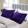 Aormenzy Satin Pillow Cases for Women King Size Set of