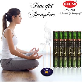 Hem Eucalyptus Incense Sticks (6 Hexa Boxes) with Wooden Incense Holder by Behal International