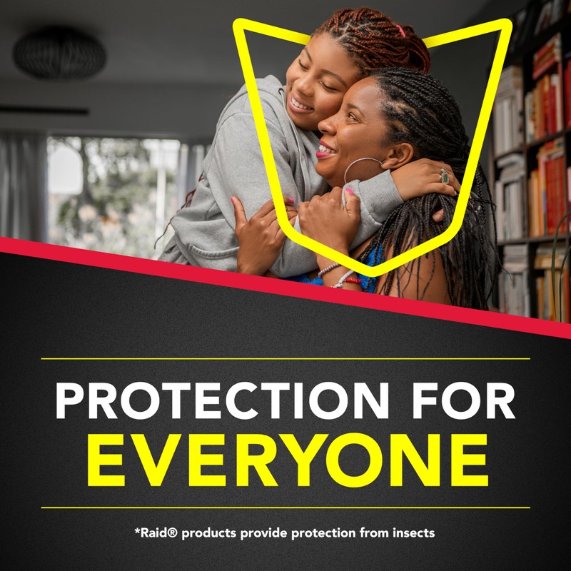Raid Ant & Roach Killer 26, Fragrance Free Bug Killer