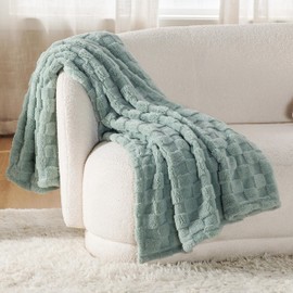 Bedsure Fleece Throw Blanket for Sofa - Soft Checkered Single Blankets for Women, Fluffy Cosy Warm Blanket for Bed, Light Green, 130x170 cm