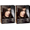 Clairol Perfect 10 By Nice 'N Easy Hair Color 005