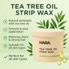 HARA Professional Soft Wax 425g – Variations (TEA TREE STRIP