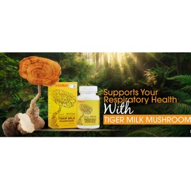 Tigerus Milk Mushroom