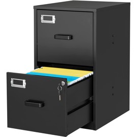 SISESOL 2 Drawer File Cabinet with Lock,Vertical Filing Cabinet,Under Desk File Cabinet,Black Metal File Cabinet for Home Office,Fit Letter Size,File Folder