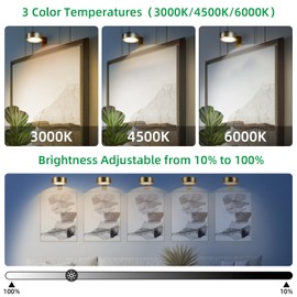 4 Pack Wireless Picture Lights for Wall,Rechargeable Picture Light Battery Operated with Remote,Dimmable Painting Light for Art Display,Battery Wall Lights for Dartboard Photo Frame Gallery.Gold