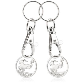 Robin Goods® 2 x Key Ring Zodiac Sign Capricorn Shopping Trolley Token, Zodiac Pendant for Shopping Trolley with Removable Shopping Chip, Carabiner and Key Ring (Capricorn 2X)