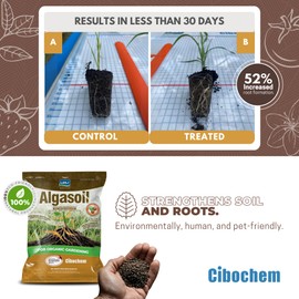 Granulated Seaweed Extract Stimulator - 2lb (32 oz) - Stronger Root Growth, Quick Visible Results, Ideal for Organic Crops, Apply Directly, Easy Aply.