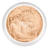 Polvo Facial Traslucido Grande 25g Maproderm