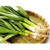 Wild Garlic Ramsons Bear Leek Wild Onion Seeds for Planting
