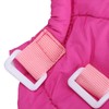 Dog Protective Collar Adjustable Pet Wound Recovery Flower Shape Neck