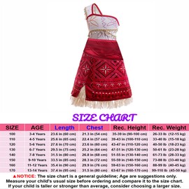 Princess Costume for Girls Toddler Deluxe Shell Tutu Tassel Dress Birthday Party Fancy Dress Up Outfits(110, Style 2)