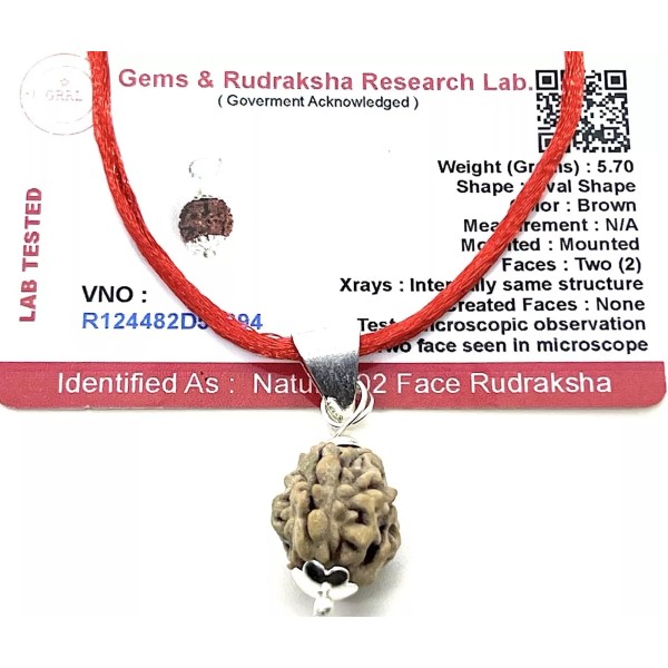 Awaken Your Kundalini Certified 2 Mukhi Rudraksha Pendant Necklace (Two