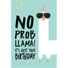 Greeting Card No Probllama! 11.5 x 17 cm