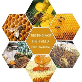 30Pcs Beekeeping Bee Wax Nest Bed Beeswax Sheets Honeycomb Foundation Sheets